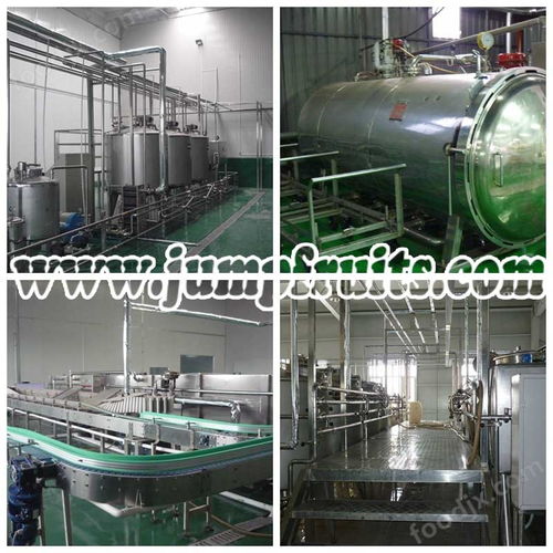 直銷特色優(yōu)質(zhì)果酒設(shè)備與生產(chǎn)線價格解析及水處理設(shè)備研發(fā)